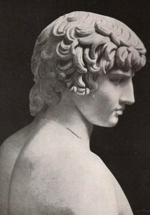 this is a black and white image of a marble bust of a young man. the sculpture is facing the right of the frame in profile. his hair is styled in tight curls. the focus is on his head and shoulders. the style suggests classical antiquity. the bust is set against a dark background.