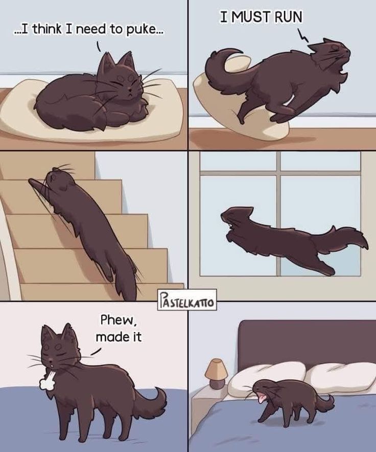 the image is a sixpanel comic strip featuring a cat who feels like it needs to puke. in the first panel, the cat is lying on a pillow with its eyes closed and the text "...i think i need to puke..." above it. the second panel shows the cat running off the pillow with the text "i must run" above it. the third panel shows the cat stretching across a set of stairs, followed by the fourth panel showing the cat flying past a window. the fifth panel shows the cat standing with its mouth open and the text "phew, made it" above it, and the last panel shows the cat throwing up on a bed. the artist's name, "pastelkatto," is written between the fourth and fifth panels.