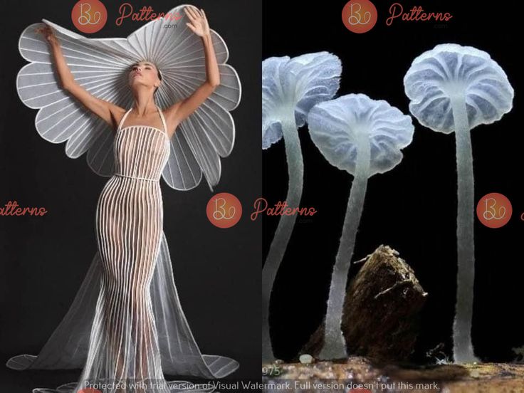 this image showcases the delicate beauty of a white dress and hat that mimics the structure of a mushroom. the model wears the dress and hat, which are both made of a translucent material, evoking an ethereal and surreal effect. the contrasting side shows a cluster of mushrooms, their white caps and slender stems mirroring the design of the clothing. the image plays with concepts of fashion and nature, highlighting the elegance of natural forms in a human creation.
