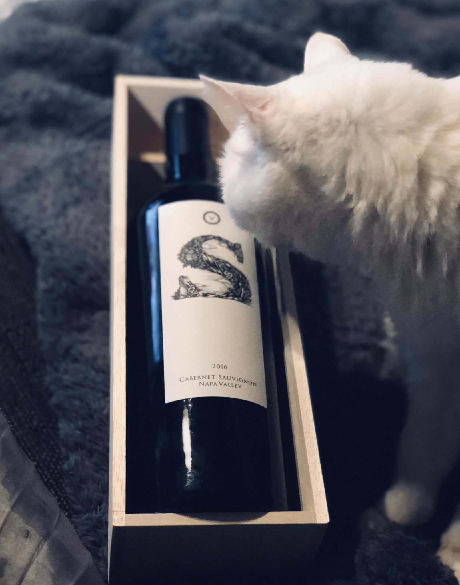 a white cat sniffs at a bottle of red wine from napa valley. the bottle is in a wooden presentation box.