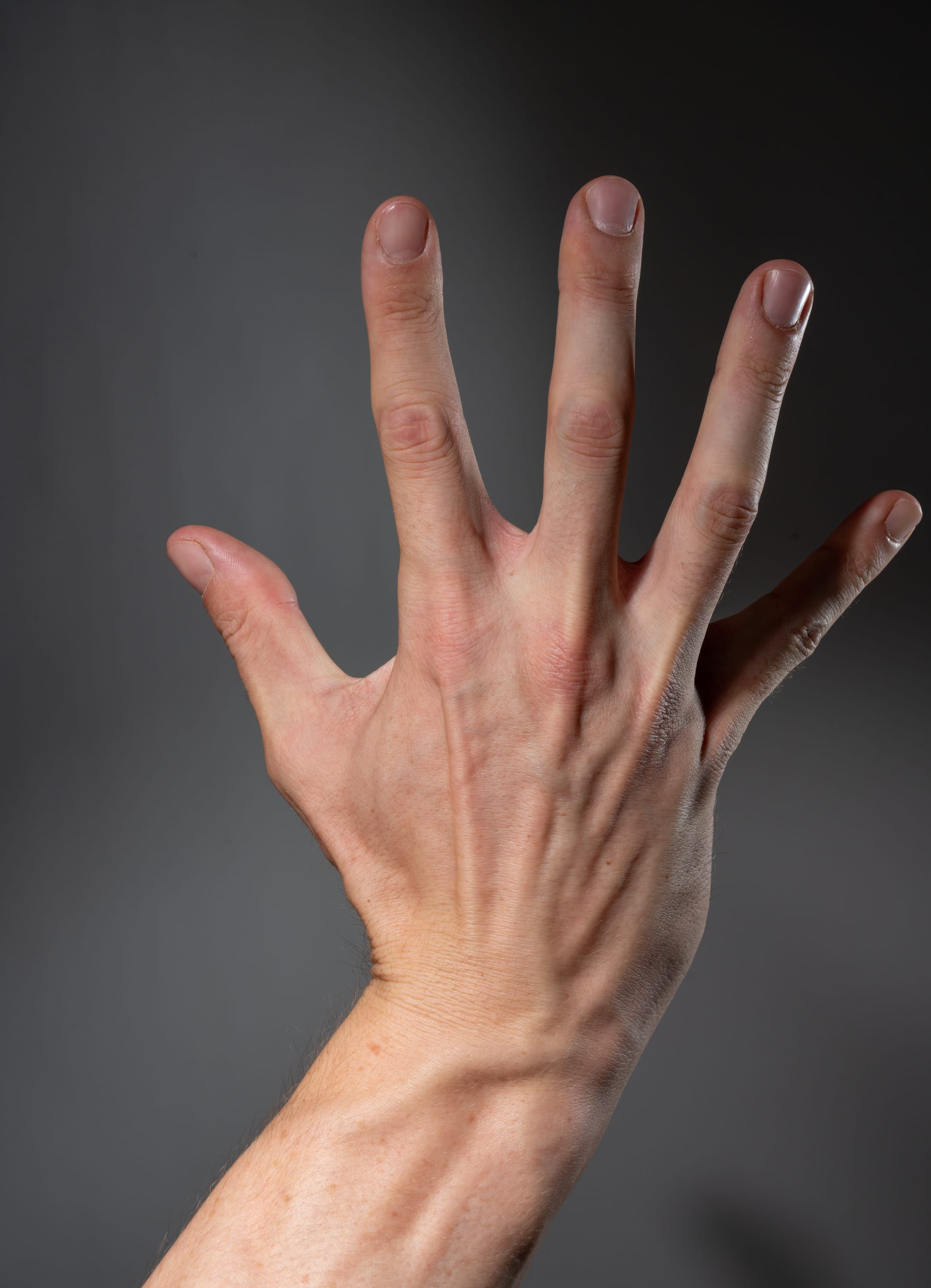 a closeup view of a left hand extended outwards against a gray background. the hand is welllit, highlighting the details of the skin texture, veins, and finger positions. the palm is facing the viewer and all fingers are extended.