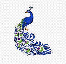 the image is a colorful drawing of a peacock, prominently showcasing its blue body and elaborate, patterned tail feathers in shades of blue and green. the peacock is positioned in profile, facing left, with its tail feathers elegantly fanned out.