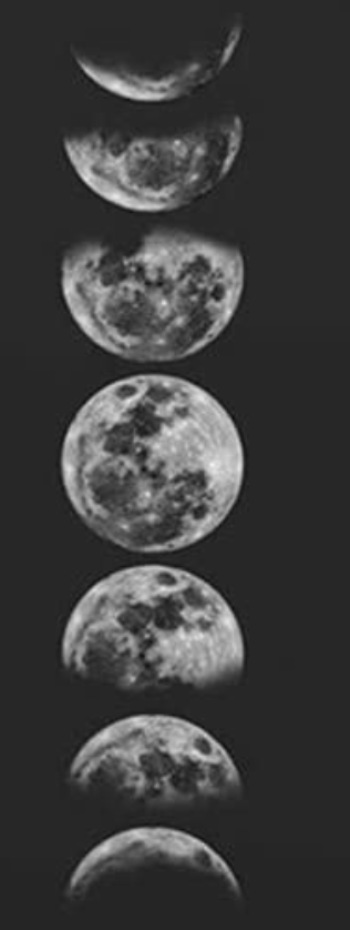 the image shows a vertical sequence of grayscale photographs capturing the different phases of the moon, illuminated by the sun, against a dark background.