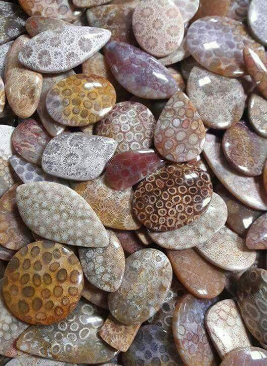 the image shows a closeup of a large pile of polished fossil coral cabochons. the stones are primarily oval and round in shape, and come in a variety of colors, including beige, brown, pink, and white. they all have distinct coral patterns visible. the stones appear to be for jewelry making purposes.