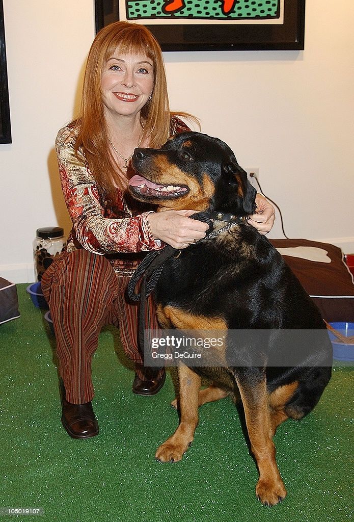 a woman wearing brown and white striped pants and a patterned brown shirt is sitting on the green grass with her rottweiler.  she is smiling at the camera and has her arm around the dog's neck. the dog is looking at the camera and sitting up with it's front legs crossed. the dog has a black leather collar on and is wearing a leash.  the grass is fake and the background is blurry.