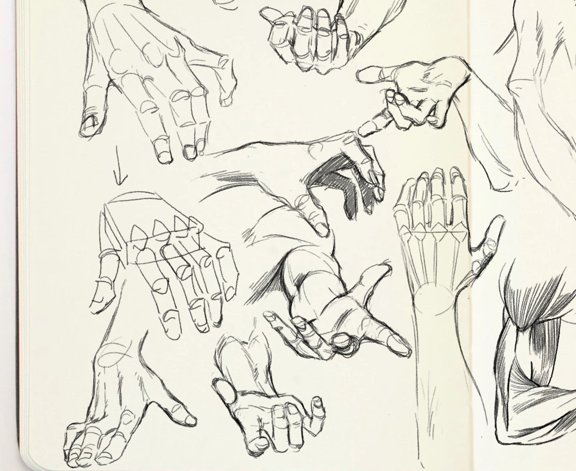 this is a page from a sketchbook with multiple sketches of hands in various poses. most of the sketches focus on the hand but some also include forearms. the drawings are done in pencil with varying levels of details. one drawing has the bones of the hand indicated.