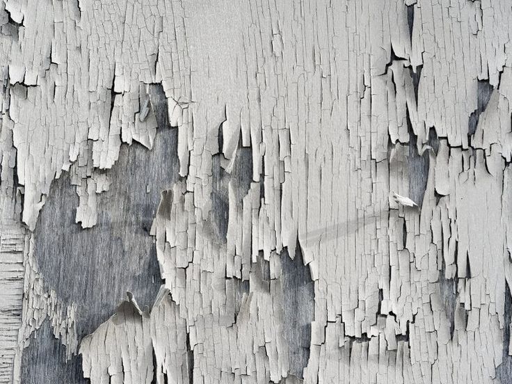 a closeup shot of a wooden surface with peeling white paint revealing the dark wood underneath. the paint is cracked and chipped in a variety of patterns creating a textured and distressed look.
