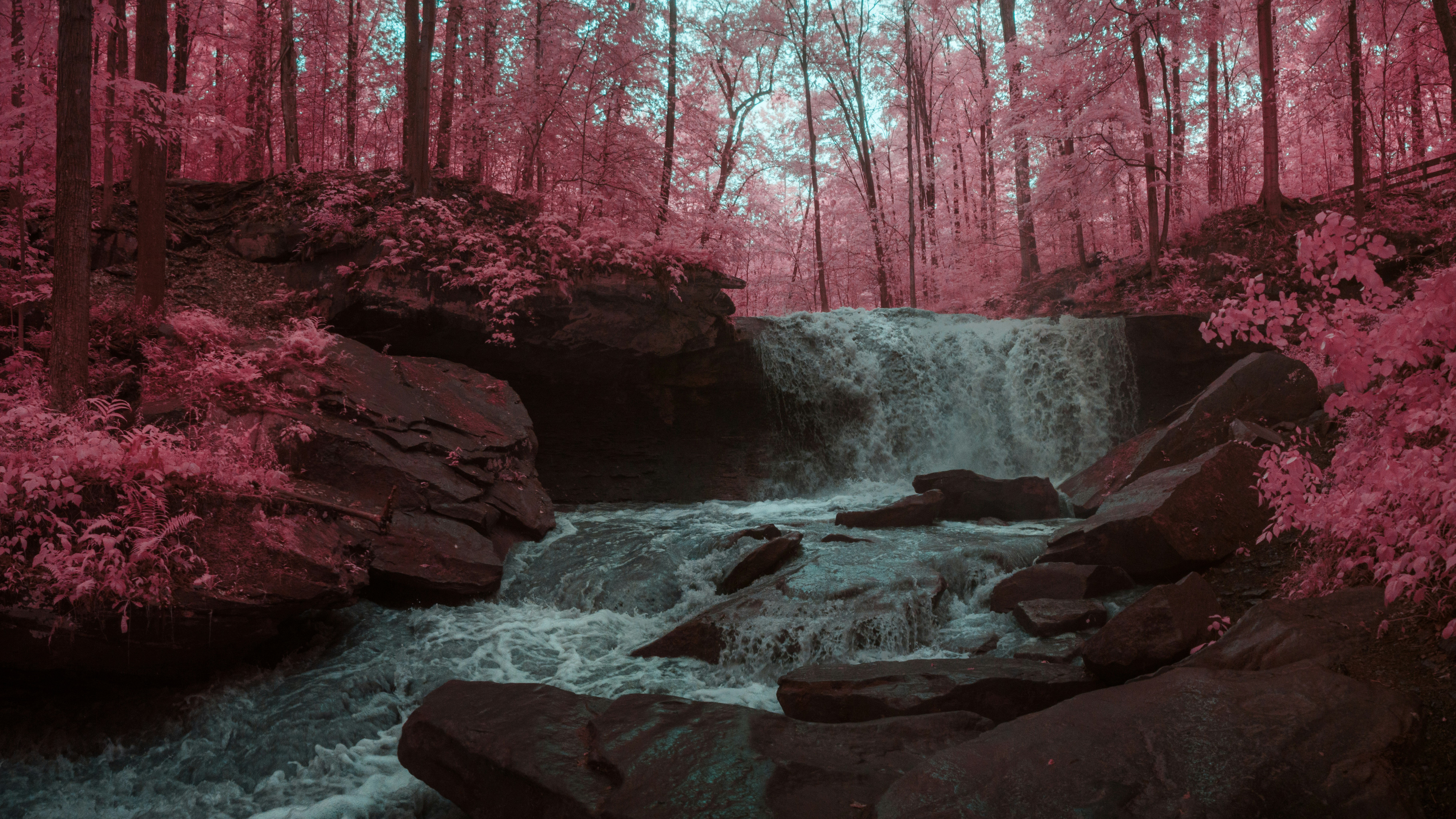 a mesmerizing waterfall cascades over mosscovered rocks in a captivating forest. the infrared photography transforms the foliage into a surreal pink hue, creating an ethereal and magical atmosphere. the rushing water contrasts beautifully with the stillness of the rocks, while the natural light enhances the vibrant colors and adds depth to the scene.
