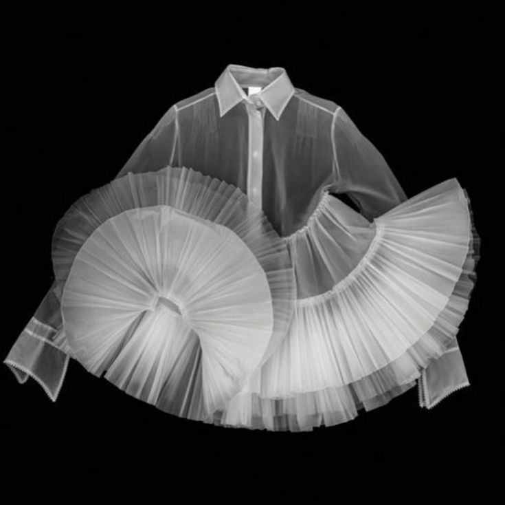 a white sheer shirt with a ruffled overlay on the sleeves and  bodice. it appears to be made of a very delicate fabric with pleats throughout the design.