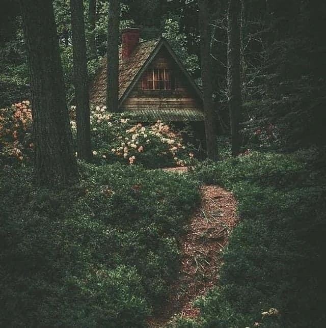 the image shows a small, wooden cabin nestled in a lush, green forest. a winding path leads to the front door of the cabin, disappearing into the dense foliage. the cabin is partially obscured by the surrounding trees, creating a sense of mystery and seclusion. the overall mood of the image is peaceful and tranquil.