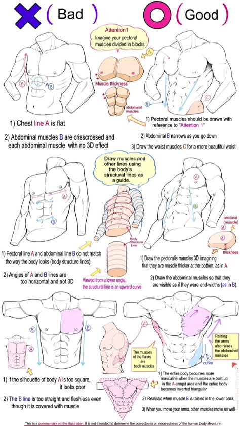 the image is a drawing tutorial on how to draw male chest and abdomen muscles. it shows a "bad" example and a "good" example, with annotations explaining why each is good or bad.