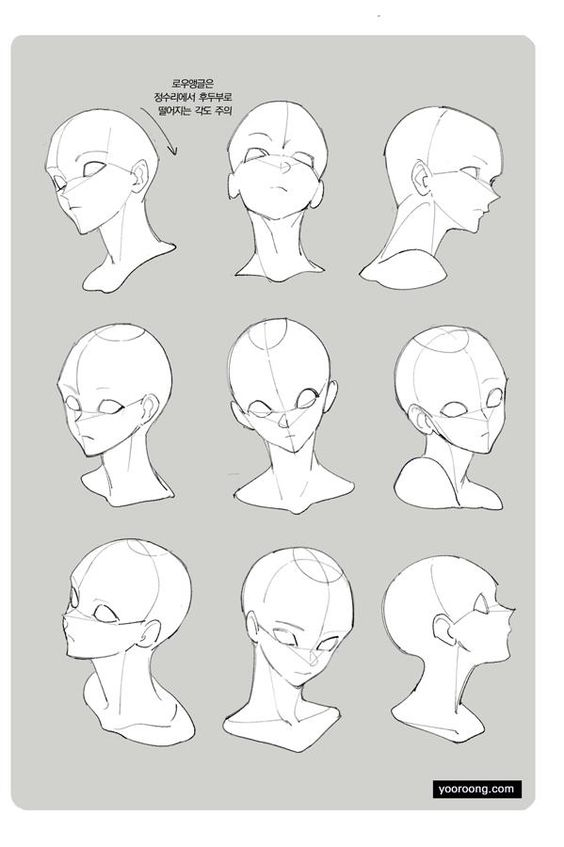 this is an image of a drawing tutorial for anime heads, showing a variety of head shapes and angles for drawing anime characters. it shows the head from the front, side, and in a variety of angles. the drawing style is clean and simple, with only the outlines of the head drawn. it is a good resource for learning how to draw different perspectives of anime characters.