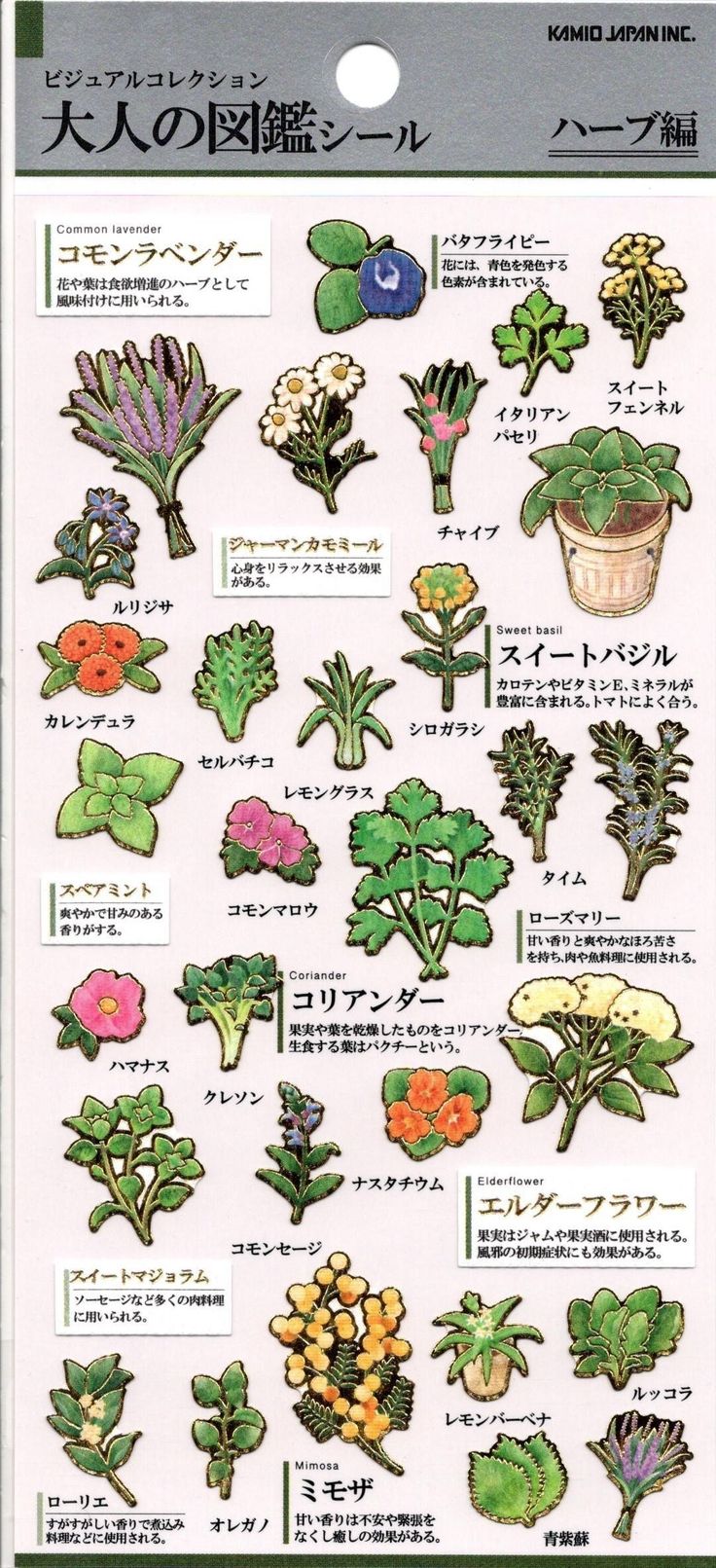 the image shows a sticker sheet featuring various herbs and edible flowers. each sticker is accompanied by its name (in japanese and sometimes english), a small illustration of the plant, and a brief description of its culinary uses or properties.  the stickers are styled as detailed botanical illustrations with a muted color palette. the sticker sheet is packaged in a clear plastic sleeve with header information indicating it's part of a "visual collection: adult herb seal" series by kamid japan.