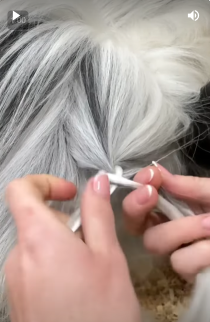 the image shows a closeup of a person's hands braiding the long, fluffy fur of a black and white dog. the hands are holding a small white tool to assist with the braiding process. the background is blurred and suggests an indoor environment.  the image appears to be a still from a video tutorial.