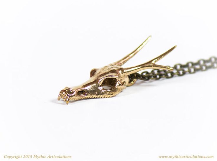 a bronze dragon skull pendant is shown on a chain. the skull has horns and visible teeth. it is on a white background.