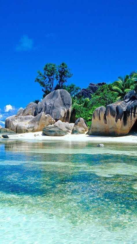 a beautiful tropical beach with clear turquoise water, white sand, and large granite rocks. lush green vegetation covers the rocks and the shore. the sky is a bright blue, and the sun is shining brightly.