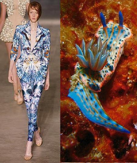a model wearing a blue and white patterned suit walks down the runway. the suit is a fitted jacket and pants. the background shows an underwater scene of a colorful sea slug.