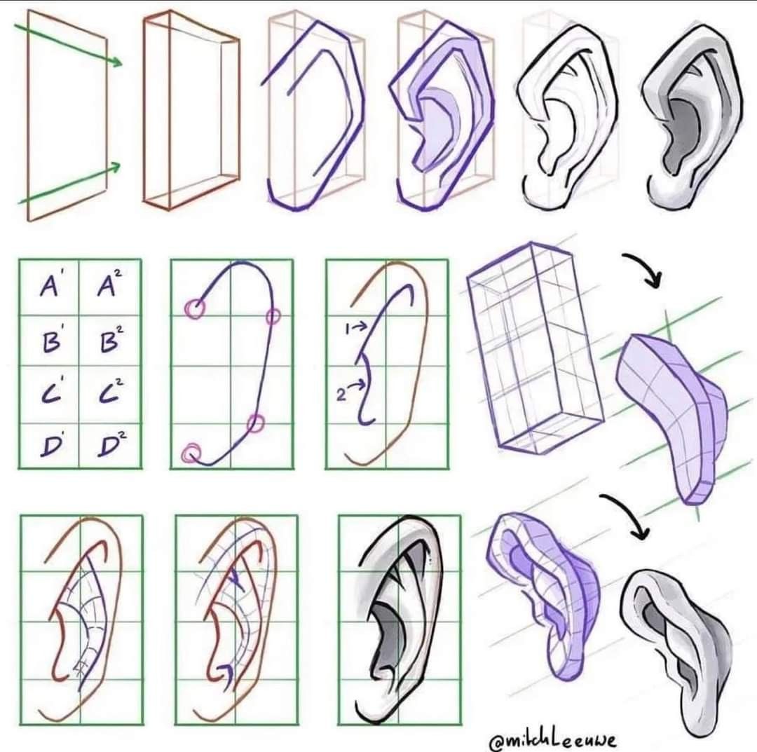 the image is a tutorial on how to draw a human ear from different angles. it breaks down the process into simple steps, using basic shapes and lines to build up the form of the ear. the tutorial also demonstrates how to use perspective to make the ear look threedimensional.