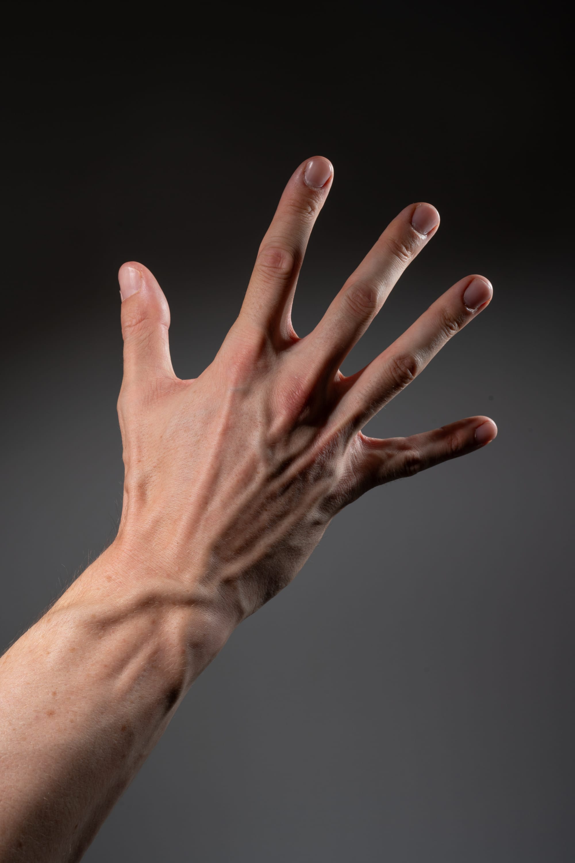 a closeup image of a male hand with prominent veins, extending upward against a dark gray background. the studio lighting highlights the texture and details of the hand.