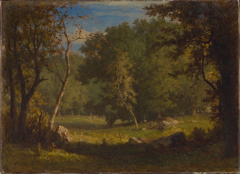 a landscape painting depicting a forest scene. in the foreground, a grassy meadow is framed by trees on either side and large rocks. the trees vary in color, with some showing autumnal hues. sunlight filters through the trees, illuminating the meadow. the background reveals a dense forest with a glimpse of blue sky and clouds above. the overall impression is one of a tranquil and pastoral scene.