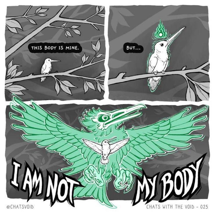 a threepanel comic showing a philosophical concept. the first panel shows a white hummingbird perched on a branch, with the text "this body is mine." the second panel shows the same hummingbird, but with a green flame above its head, and the text "but..." the third panel shows a large, menacing green bird holding the white hummingbird, with the text "i am not my body." the comic explores the idea that one's body is not the same as one's identity or spirit.