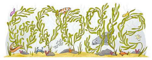 the image is a vibrant illustration depicting a kelp forest scene.  the word "kelp" is creatively formed using the shapes of kelp leaves, with various marine animals integrated within and around the letters.  these animals include a seahorse, a crab, an eel, several types of fish (including what seems to be a wrasse and a small, yellow fish), and a sea lion.  bubbles and other small details suggest movement and depth in the water. the overall style is cartoonish and colorful, resembling a google doodle. the background is dark, making the yellowgreen kelp and the various sea creatures stand out. the bottom of the image shows a sandy ocean floor with small rocks and additional marine plants.