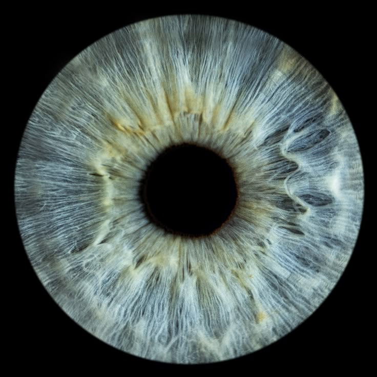 this is a macro image of a human eye. the iris is the dominant feature, showcasing intricate patterns in shades of blue, light blue, green, and hints of yellow around the pupil. the pupil is black and centered within the iris. the surrounding area is a solid black background, emphasizing the eye. the image is highly detailed, revealing the complex structure of the iris.
