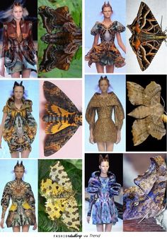 this collage showcases nine different fashion designs inspired by butterflies and moths. each model is wearing a unique and elaborate dress that incorporates the wings of butterflies and moths, creating a striking and surreal aesthetic. the dresses are meticulously crafted with intricate details and textures, highlighting the beauty and diversity of these insects. the overall effect is both captivating and whimsical, showcasing the power of fashion to transform and inspire.