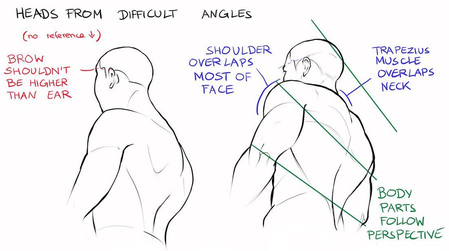 the image is a drawing tutorial of heads and shoulders from difficult angles. it shows the anatomy of the head and neck and how to draw them in perspective. the drawing is in black and white with green lines to show the angles of the head and shoulders.  the text gives tips on how to draw heads from difficult angles, such as making sure the brow is not higher than the ear and noting how the trapezius muscle overlaps the neck when the head is turned.  the tutorial also emphasizes that body parts follow perspective.