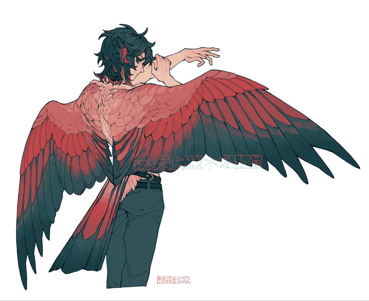 the image is a digital drawing or painting in a stylized anime/manga style. it depicts a young person with long, dark hair and reddishpink feathered wings that extend dramatically behind them. the wings have a blend of reddishpink and dark teal feathers, resembling those of a large bird. the individual is wearing dark pants and a belt, and their pose suggests movement or flight, as their arm is lifted and extended upward. the overall style is artistic and somewhat elegant, featuring a blend of sharp lines and softer watercolor effects.  the background is pure white.  there's some indistinct text in a foreign language overlaid on the image.
