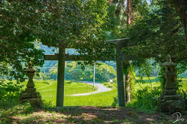 the image showcases a serene japanese rural landscape.  a weathered stone torii gate, the traditional entrance to a shinto shrine, frames a view of a winding country road cutting through vibrant green rice paddies.  flanking the torii gate are two stone lanterns, adding to the traditional japanese aesthetic. lush green trees and foliage surround the scene, creating a sense of peace and tranquility. the sunlight filters through the leaves, illuminating the path and the fields beyond. the overall atmosphere is one of quiet beauty and traditional japanese charm.