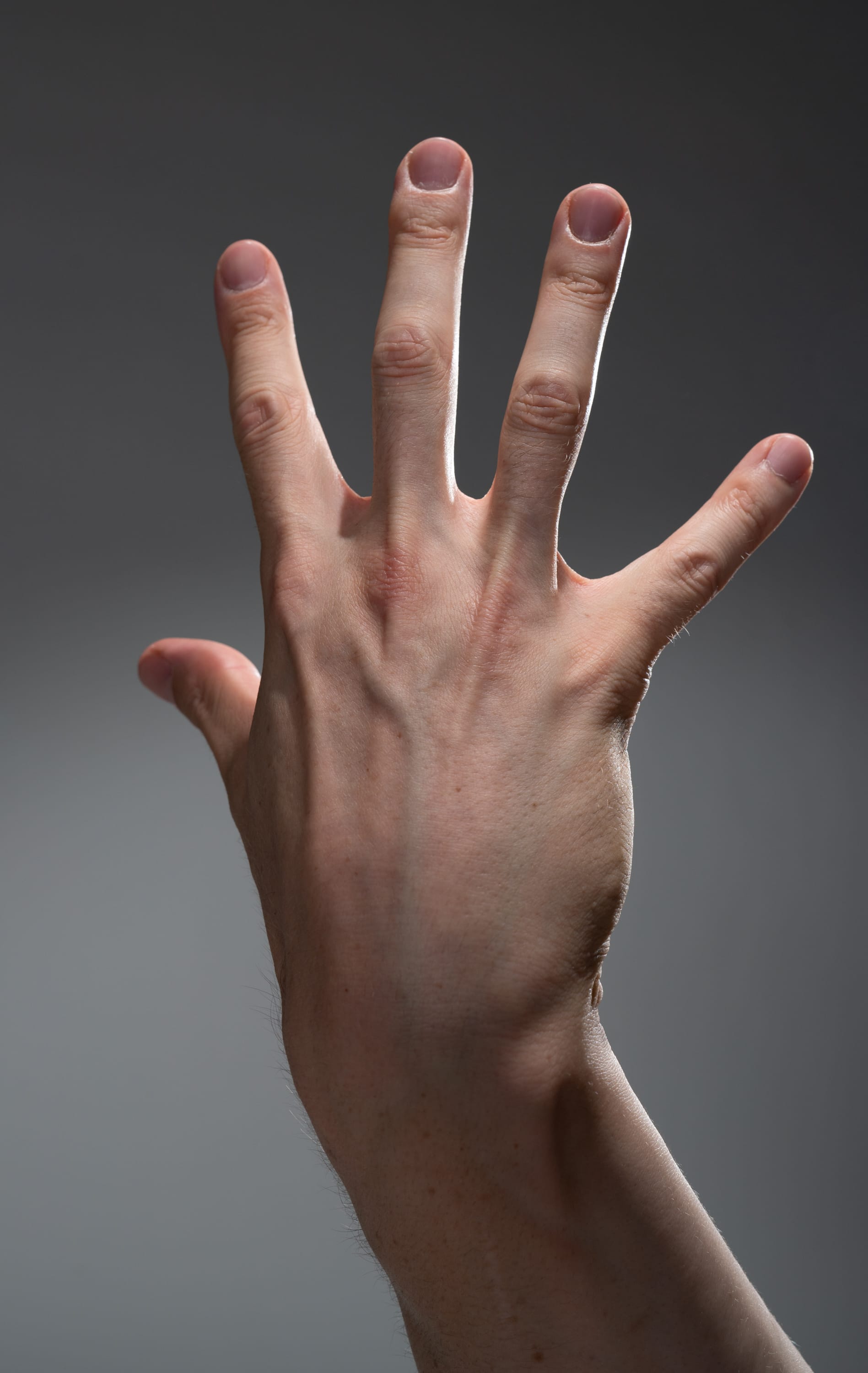 a closeup image of a man's hand extended with fingers spread against a neutral gray background. the image highlights the details of the hand's anatomy and the subtle variations in skin tone. the studio lighting creates a soft and even illumination, emphasizing the texture and form of the hand.