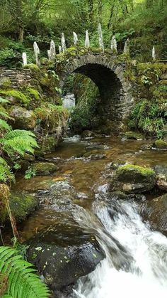 a serene forest scene featuring an old stone bridge arching over a shallow stream. the bridge and surrounding rocks are covered in lush green moss and ferns, and the water flows over rocks creating small rapids. the lighting is natural daylight, casting a peaceful and tranquil atmosphere.