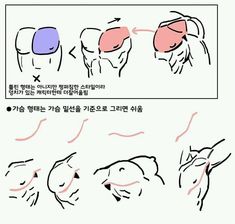 the image is an anatomy tutorial demonstrating how to draw muscles on the upper body, specifically the chest and back. it features multiple sketches highlighting the flow and placement of muscles from different angles.  the tutorial likely uses simplified shapes and lines to help artists understand the underlying structure of the human form.