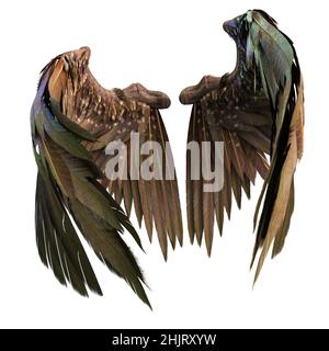 the image shows a 3d rendering of a pair of large, intricately detailed, darkcolored angel wings.  the wings have a mix of brown, green, and iridescent feathers, appearing somewhat weathered or antique. the feathers are individually rendered and show texture and variation in color. the wings are presented against a stark white background, emphasizing their form and detail. they are positioned slightly spread apart, suggesting a pose of flight or rest. the overall style is fantasyoriented, suggesting a mystical or otherworldly creature's wings.