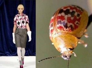 a fashion model walks the runway in a red and white plaid blouse and a grey skirt. her white gloves complete the look. the model's hair is blonde and styled in a short bob. on the right side of the image, a colorful beetle is shown in closeup. the beetle's wings are red and white, and its shell is yellow.
