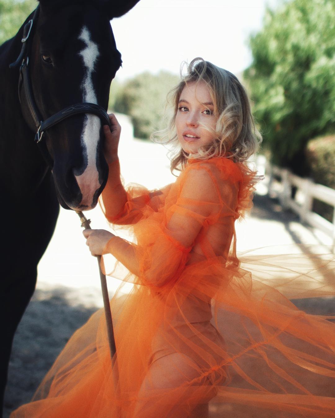 the image is a portrait of a young, blonde woman wearing a flowing, bright orange tulle dress. she is standing next to a black horse, gently holding a rein or rope attached to its bridle. the setting appears to be a rural or countryside location, with natural light illuminating the scene.  the woman's pose is relaxed and graceful, and her expression is soft and slightly dreamy. the overall mood is one of serene beauty and whimsy. the contrast between the woman's bright dress and the dark horse creates a visually striking effect.