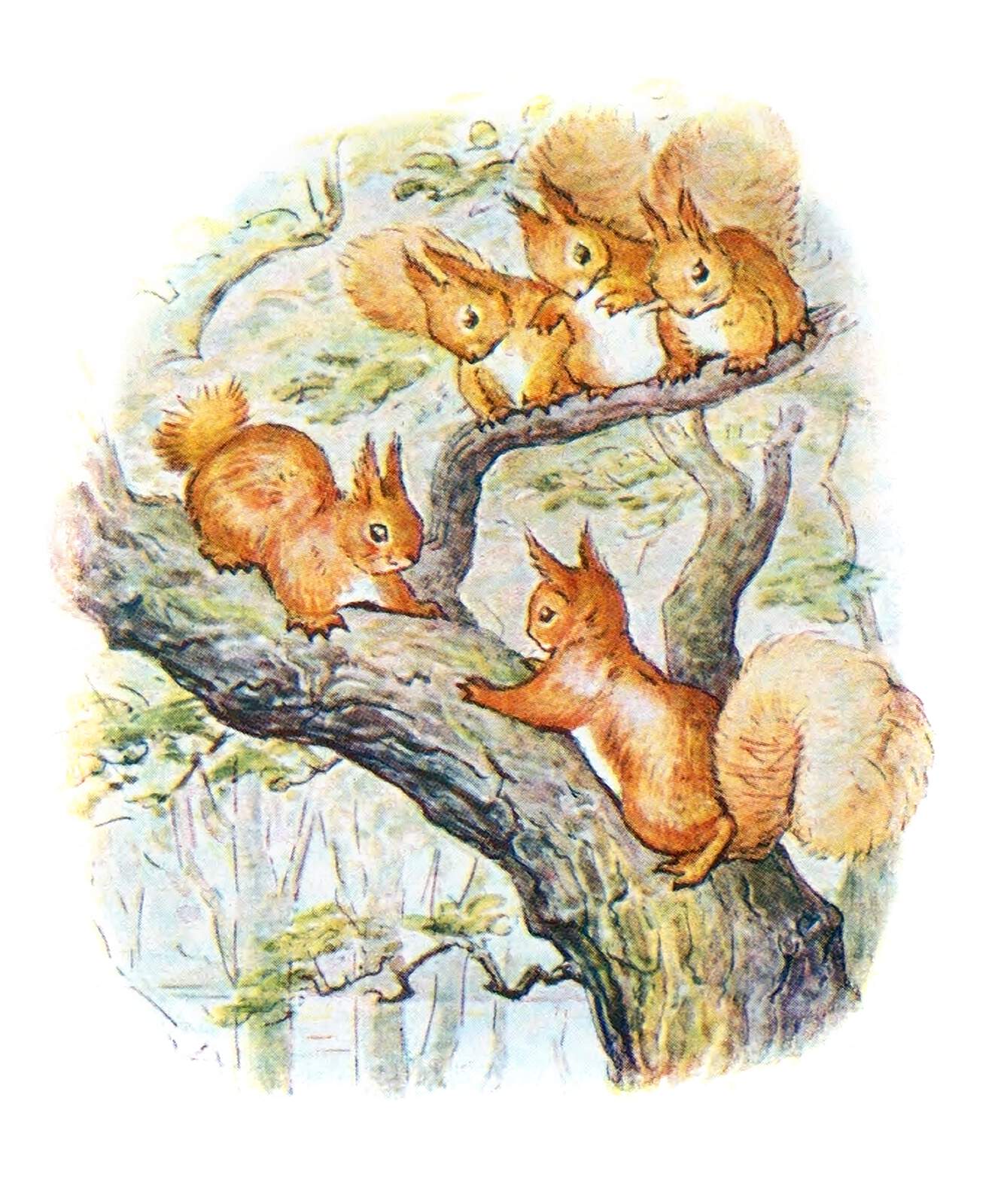 an illustration showing five squirrels in a tree. three squirrels are perched together on a branch near the top, looking downward. another squirrel is on a lower branch reaching up towards them. a fifth squirrel is on a vertical part of the tree trunk, reaching up with its paws towards the branch above. the drawing style is reminiscent of beatrix potter illustrations, with soft colors and detailed textures. the background is a blurred suggestion of a forest.