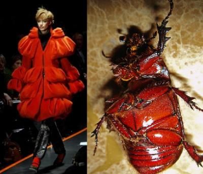 a red beetle is shown on the right side of the image, in focus, on a beige surface, while on the left side of the image a fashion model walks the runway in a vibrant red outfit. the image is a splitscreen of fashion and nature.