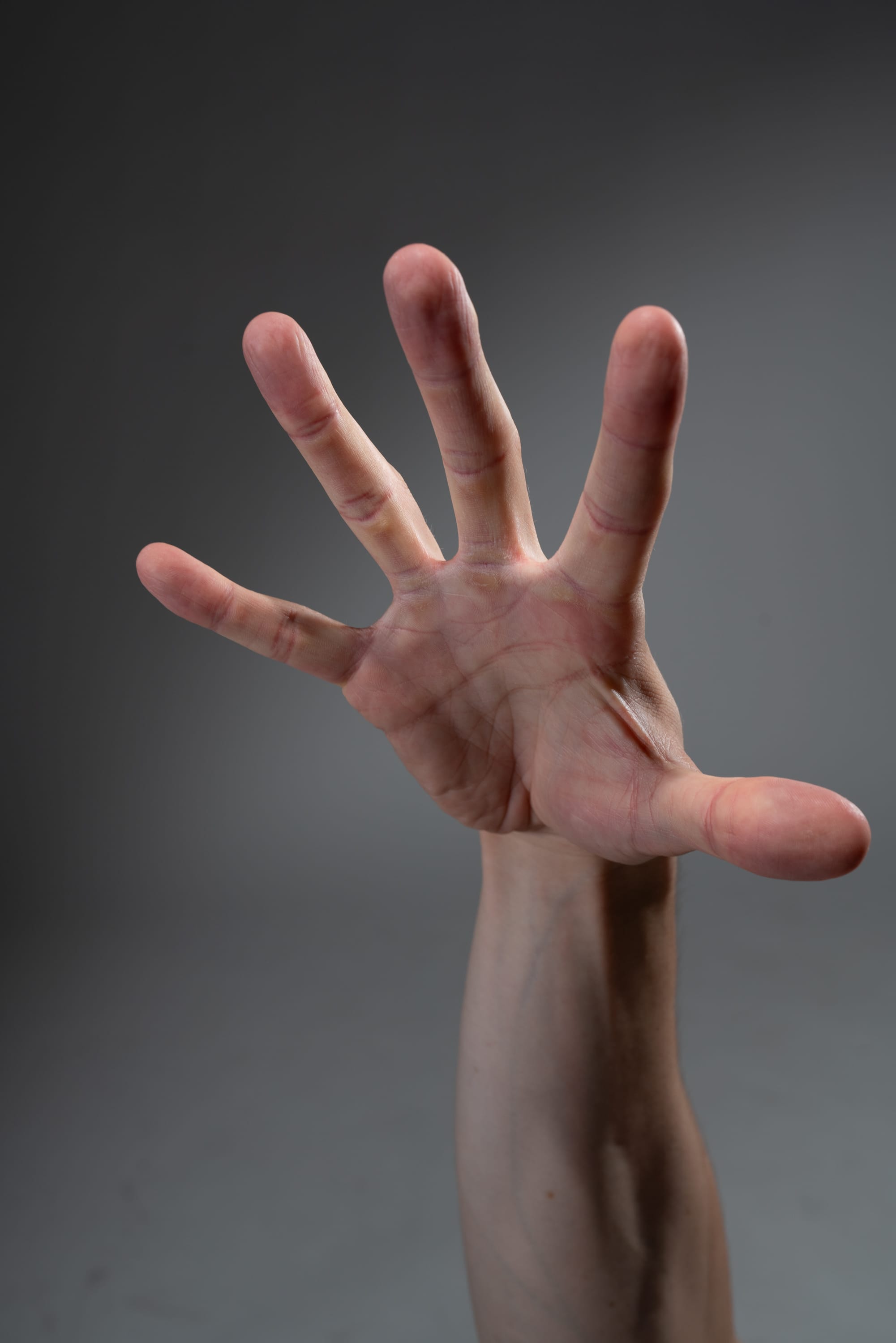 a closeup of a man's hand reaching upward against a neutral gray background. the hand is open, with fingers extended, showcasing the details of the palm, lines, and skin texture. the lighting is soft and even, highlighting the contours of the hand and arm. the perspective suggests a gesture of grasping or pleading.
