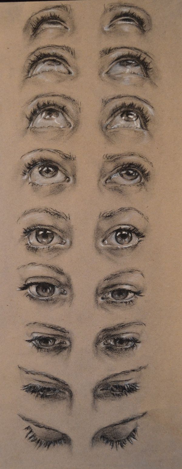 the image shows a series of detailed charcoal drawings of eyes in various states of opening and direction of gaze. the drawings are arranged in vertical columns, with each column representing a different eye expression.  the artist has skillfully rendered the subtle details of the eyes, including the texture of the skin, the shape of the eyelids, and the direction of the eyelashes. the overall style is realistic and conveys a range of emotions through the eyes. the background is a neutral beige, allowing the drawings to stand out clearly.  the drawings progress down the page from eyes looking up, to eyes looking straight ahead, and finally to eyes closed.