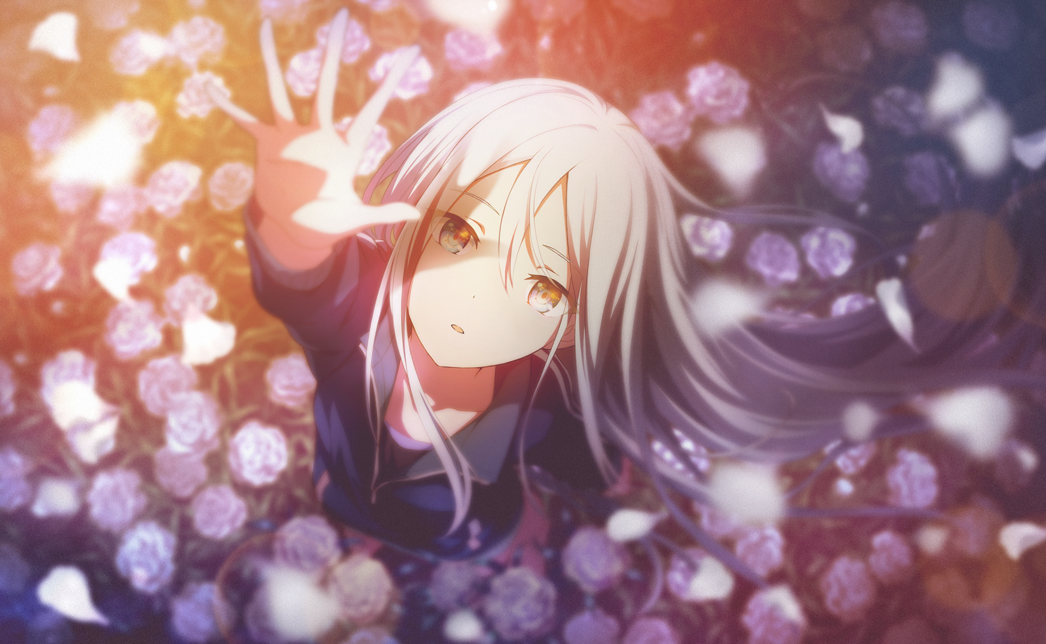 an animestyle girl with long white hair and yellow eyes looks up with her hand reaching towards the top of the frame. she is surrounded by a field of purple and pink flowers that appear to be roses. the view is from below, looking upwards at the girl and the floral arrangement.