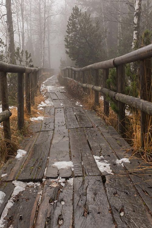 a wooden boardwalk with railings on both sides stretches through a foggy forest landscape. patches of snow are scattered on the weathered wooden planks. the trees in the background are shrouded in fog, creating a misty and atmospheric scene. the boardwalk appears rustic and worn, adding to the natural and somewhat desolate beauty of the winter landscape.