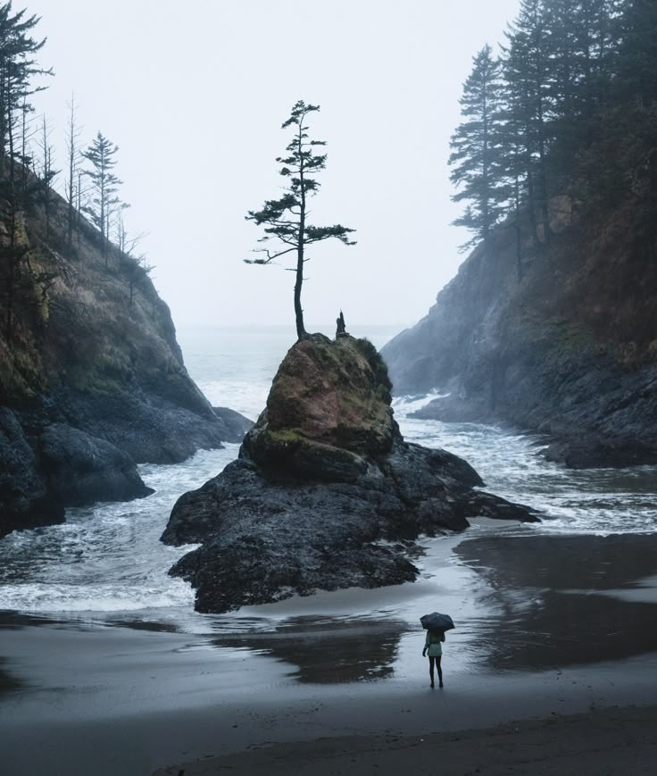 the image depicts a coastal scene with a person holding an umbrella on a beach. in the foreground, a sandy beach leads to the ocean, with a person holding an umbrella facing towards a large rock formation in the middle of the water. the rock formation has a tree growing on top of it. cliffs are visible on both sides of the water, with trees growing on them. the sky is overcast, and the water is choppy.