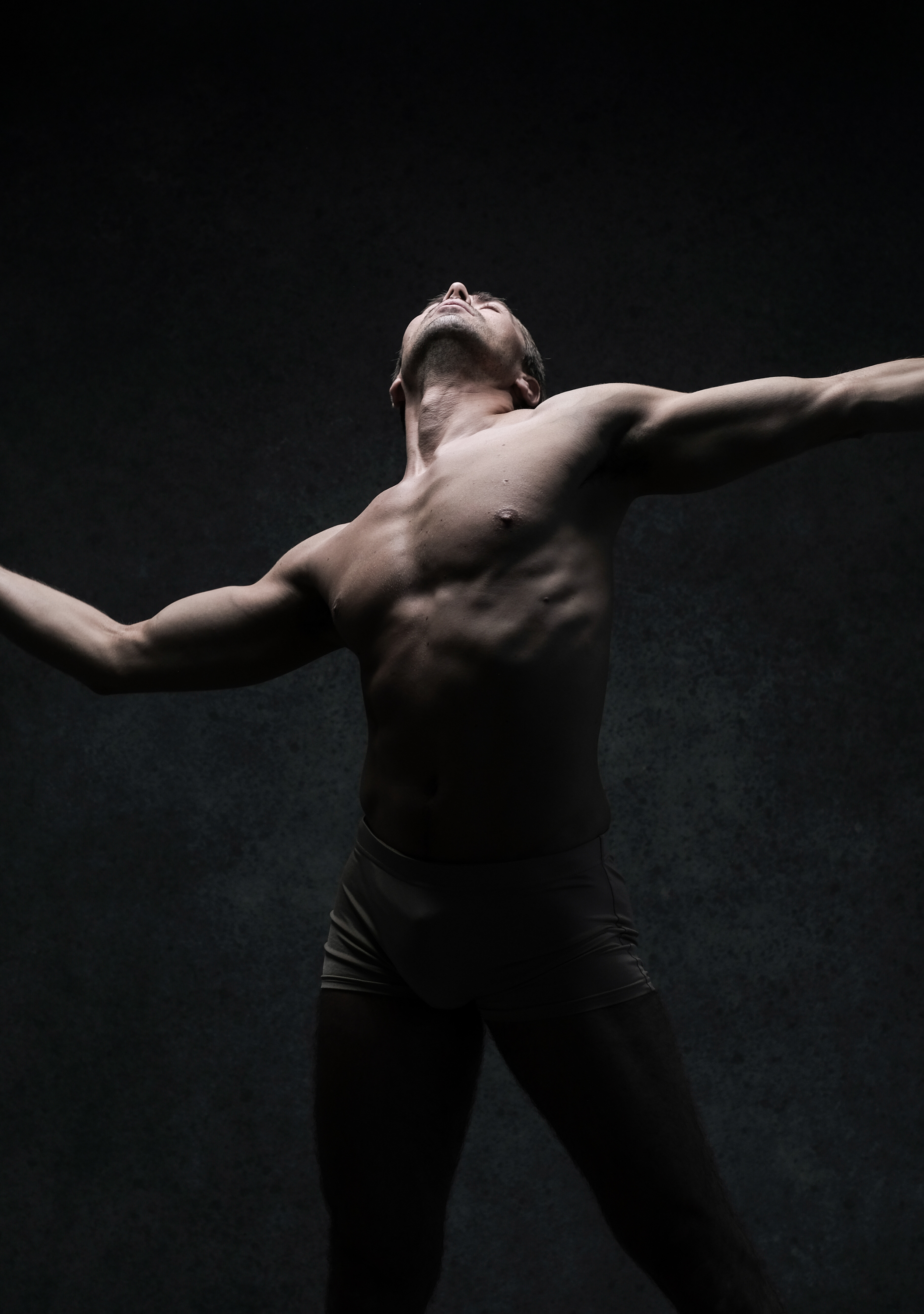 the image showcases a male dancer in a dramatic pose, illuminated by a spotlight against a dark background.  he is shirtless, wearing only dance tights, highlighting his muscular physique. his head is thrown back, his arms outstretched, conveying a sense of powerful emotion and graceful movement. the low angle perspective adds to the drama and emphasizes the dancer's strength.