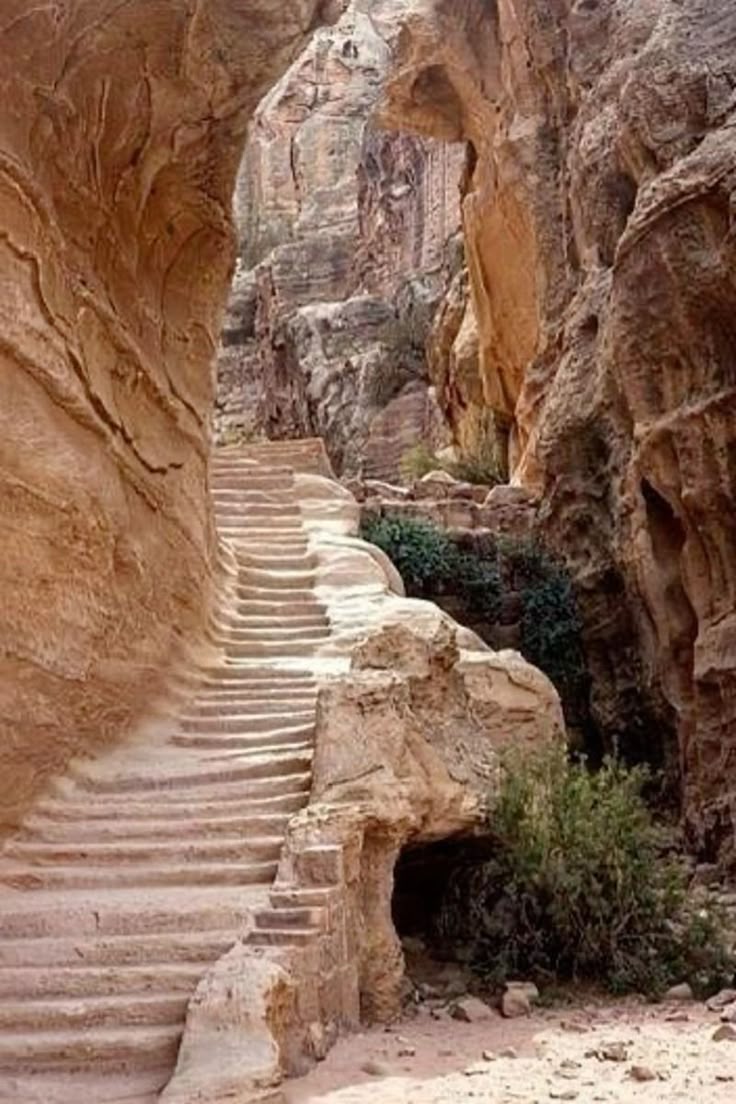 a pathway of stone steps winds upwards through a narrow canyon with tall, rugged rock formations on either side. green plants grow along the pathway and in crevices in the rock walls.