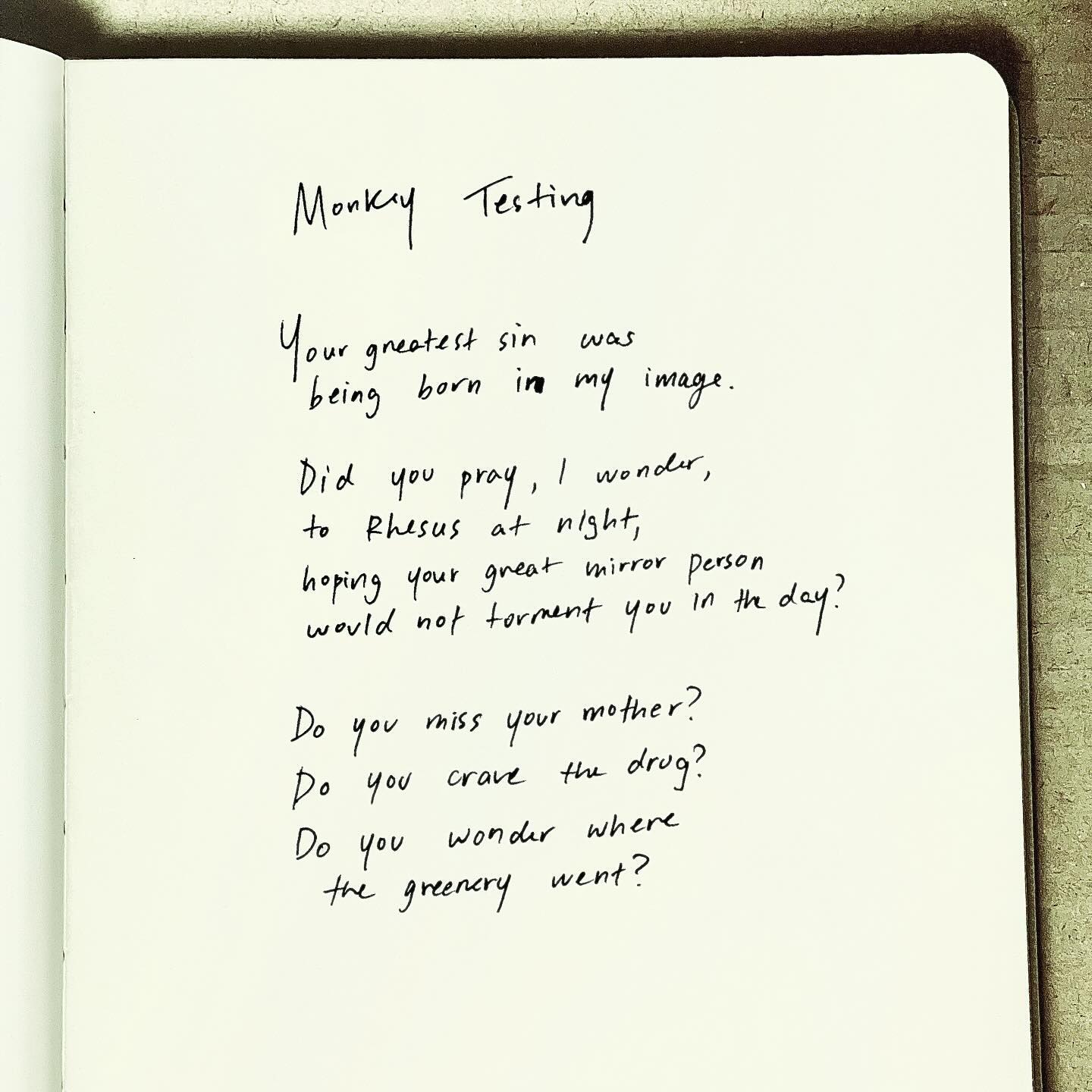 the image shows a page in a notebook with a poem titled "monkey testing" handwritten on it in black ink. the poem is written in first person and addresses someone directly, accusing them of being a "sin" and questioning their actions and desires.  the handwriting is clear and somewhat stylized, suggesting the writer took their time. the page is welllit, highlighting the stark contrast of the black ink on the white paper.