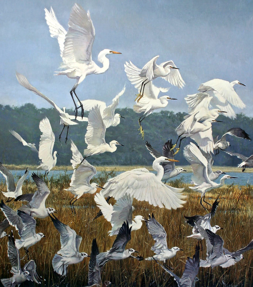 a colorful painting of many white egrets flying over a blue pond or lake. the painting is realistic with a lot of detail.  the egrets fly above a grassy bank.