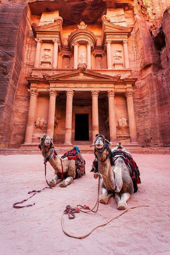a view of the treasury in petra, jordan, with two camels in the foreground. the treasury is a large, elaborately carved monument that was once the tomb of a nabataean king. it is a popular tourist destination and one of the most iconic landmarks in jordan. the camels are used for transportation and are often seen in front of the treasury. the sand, rock formations and ancient architecture in this image makes this a beautiful picture of this iconic tourist destination.