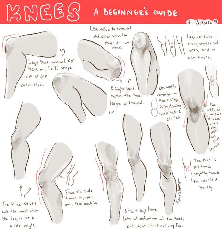 this is an anatomy illustration that shows how to draw knees in different positions. the illustration shows different ways to represent definition of the knee, the shape and placement of the kneecap, and how a knee looks when the leg is bent at different angles.